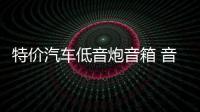 特价汽车低音炮音箱 音箱空箱 音箱木箱 双10寸12寸低音炮箱体