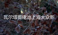 瓦尔塔蓄电池上海大众新桑塔纳途安凌渡途观帕萨特原装60AH电瓶