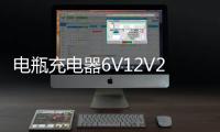 电瓶充电器6V12V24V大功率多功能纯铜通用型蓄电池汽车电池充电机
