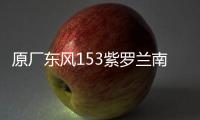 原厂东风153紫罗兰南骏1063小财神145大运嘉龙前大灯总成雾灯总成
