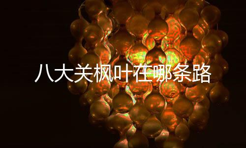 外汇盘-八大关枫叶在哪条路-zunyueyuanma.com