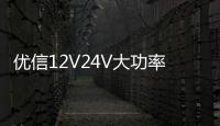 优信12V24V大功率货车卡车电瓶充电器12V汽车电瓶充电机船舶电池