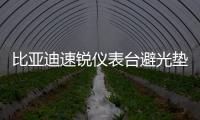 比亚迪速锐仪表台避光垫汽车内饰装饰用品配件中控台改装防晒垫