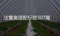 法雷奥适配标致307尾灯总成 小嘴三厢尾灯罩汽车后尾灯 正品配件