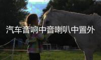 汽车音响中音喇叭中置外置家用环绕前后双喇叭2.5寸中音喇叭改装