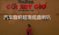 汽车音响超重低音喇叭 丹麦10寸低音喇叭12寸重低音炮双磁双音圈