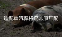 适配重汽悍将统帅原厂配件豪沃轻卡油门踏板HOWO轻卡电子油门踏板