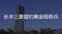 长丰三菱猎豹黑金刚奇兵飞腾6481内饰改装饰汽车配件仪表台避光垫