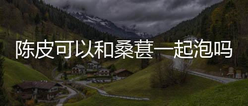 米兰源码-陈皮可以和桑葚一起泡吗-zunyueyuanma.com