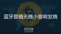 蓝牙音箱无线小音响发烧级hifi男生低音炮网红款高端车载汽车高档小型户外手持卡拉ok大音量高音质K歌扬声器