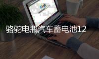 骆驼电瓶汽车蓄电池12V45AH适配长安之星面包五菱宏光东风小康1DF