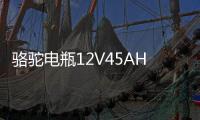 骆驼电瓶12V45AH适配长安之星面包车五菱宏光s东风小康汽车蓄电池