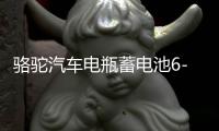 骆驼汽车电瓶蓄电池6-QW-45适配五菱宏光长安之星本田杰德12v45ah