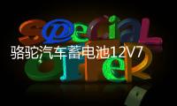 骆驼汽车蓄电池12V70AH适用马自达凯美瑞汉兰达皇冠锐志电瓶80D26