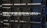 骆驼天鹅蓄电池58500五菱荣光之光面包车北汽汽车电瓶12V48AH电池
