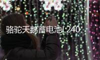 骆驼天鹅蓄电池L2400适配高尔夫迈腾明锐捷达力帆12V60AH汽车电瓶