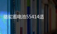 骆驼蓄电池55414适配桑塔纳2000老捷达汽车电瓶54AH 以旧换新