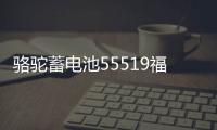 骆驼蓄电池55519福特福克斯嘉年华马自达3/2赛欧汽车电瓶12V55ah