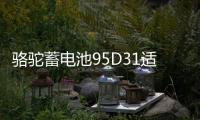 骆驼蓄电池95D31适用于瑞风普拉多帕杰罗85AH汽车电瓶 以旧换新