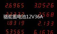 骆驼蓄电池12V36AH汽车电瓶适配铃木奥拓锋范背机旋耕机三轮车1DF