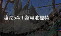 骆驼54ah蓄电池福特经典全顺福克斯福睿斯吉利新帝豪博越原装电瓶