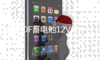 骆驼DF蓄电池12V60AH适配朗逸奇瑞A3科鲁兹速腾荣威汽车电瓶L2400