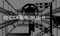 骆驼DF蓄电池U1-9割草机旋耕微耕机路面切割机发电机12V24AH电瓶
