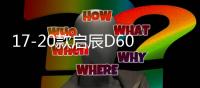 17-20款启辰D60中网外观专用改装饰条前脸汽车用品配件防絮防虫网