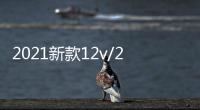 2021新款12v/24v车载带蓝牙无线音响汽车货车重低音炮小型音箱